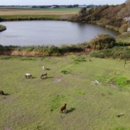 B&B Hoeve Dijkstal Logeren Op De Boerderij ซินท์ มาร์เท็น ภายนอก รูปภาพ