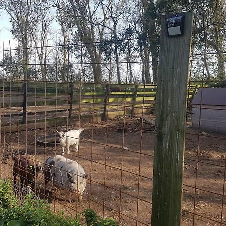B&B Hoeve Dijkstal Logeren Op De Boerderij ซินท์ มาร์เท็น ภายนอก รูปภาพ